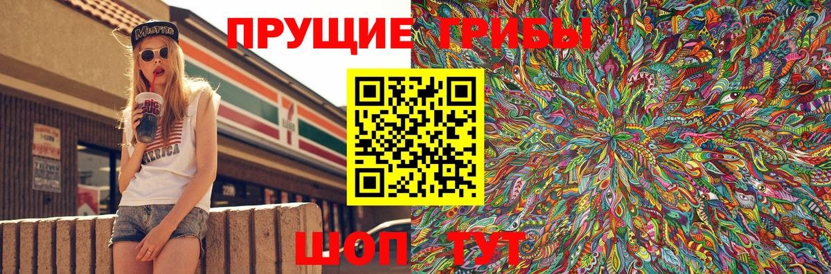 Псилоцибиновые грибы Cubensis Осинники